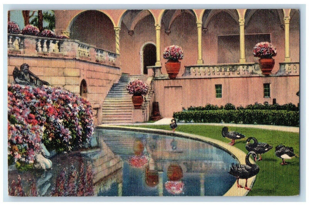 1940 Black Swans Ringling Art Museum Birds Pillars Sarasota Florida FL Postcard