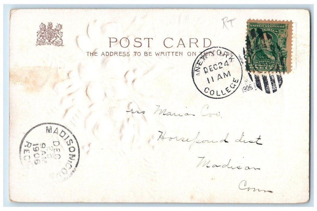 1906 Christmas Berries Pine Leaf Flowers Winter New York College Posted Postcard
