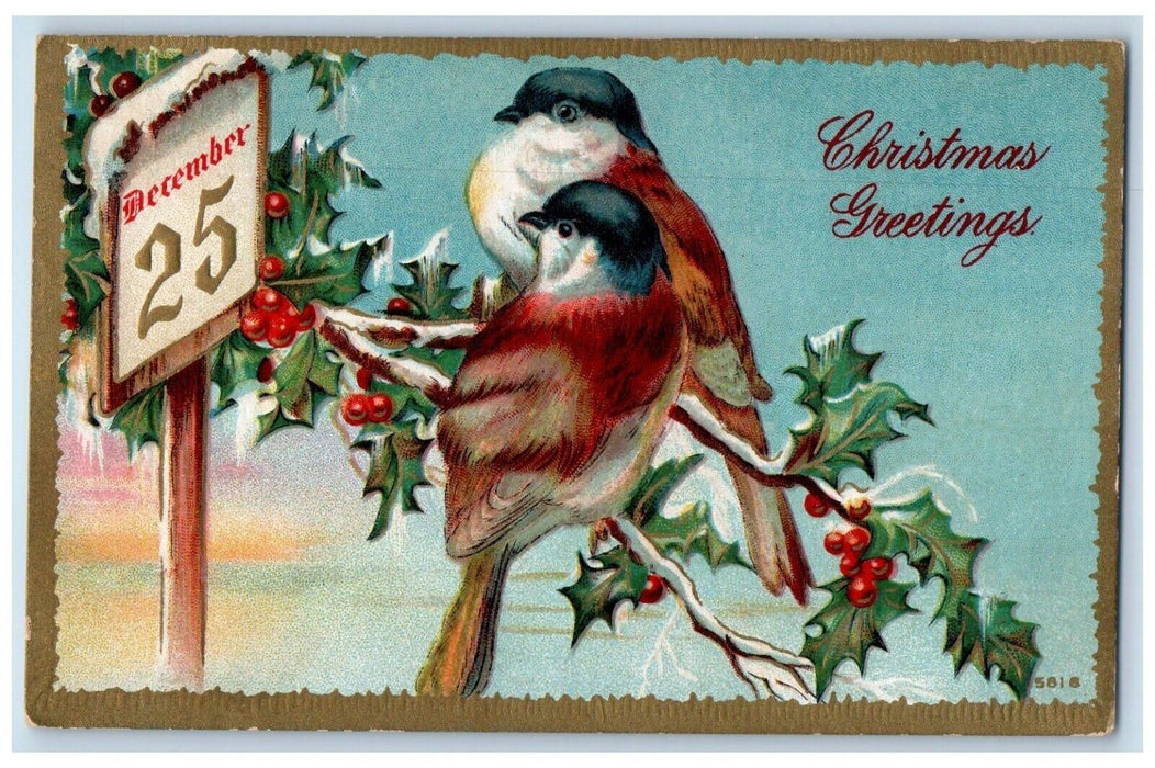 Christmas Greetings Calendar Birds Holly Berries Winter Embossed Posted Postcard