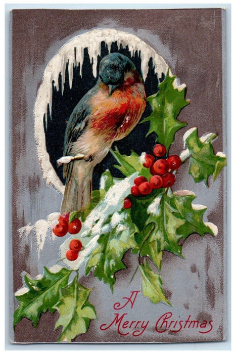 1908 Christmas Bird Holly Berries Winter Winsch Back Philadelphia PA Postcard
