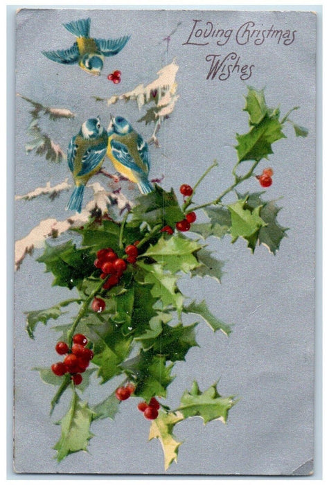 c1905 Christmas Wishes Song Birds Holly Berries Nash Unposted Antique Postcard