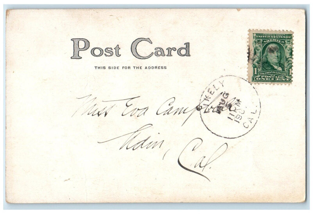 1907 Sweet Couple Romance Sweet Peas McFall Likely California CA Posted Postcard