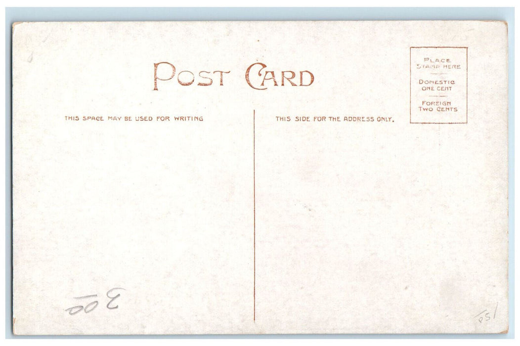 S.S Steamer Ship City Of Alpena Detroit Michigan MI Antique Unposted Postcard