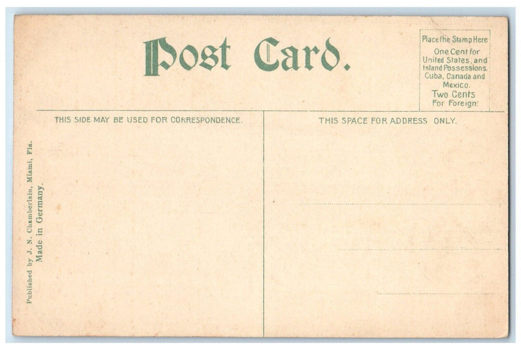 c1910's Boat Scene On Miami River Florida FL Unposted Antique Postcard