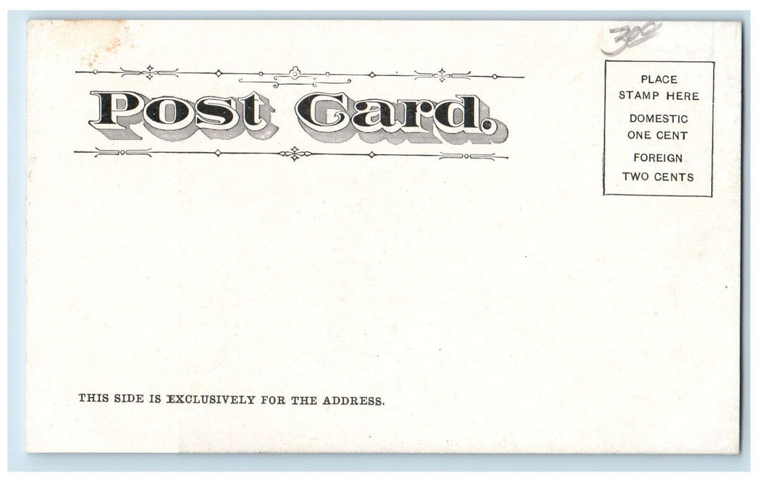 c1905 Public Park Garden Trees Scene Decatur Michigan MI Antique Postcard