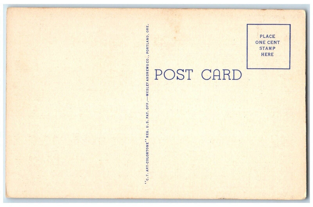 c1940 Sun Valley Lodge Challenger Inn Swiss Village Sawtooth Idaho ID Postcard