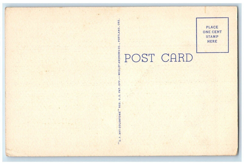 c1940 Aerial Capitol Boulevard Howard Platt Gardens Road Boise Idaho ID Postcard