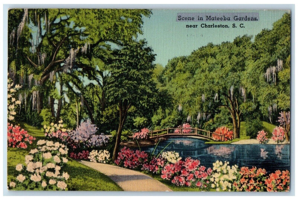 c1940 Scene Mateeba Gardens Bridge River Charleston South Carolina SC Postcard