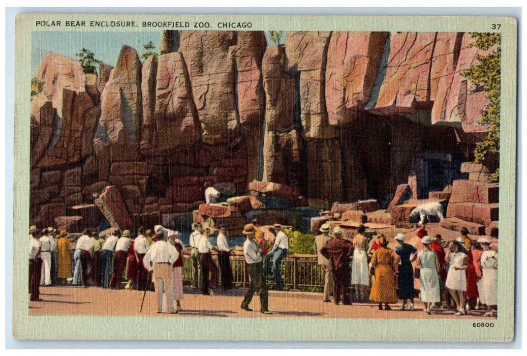 c1930's Polar Bear Enclosure Brookfield Zoo Chicago Illinois IL Vintage Postcard