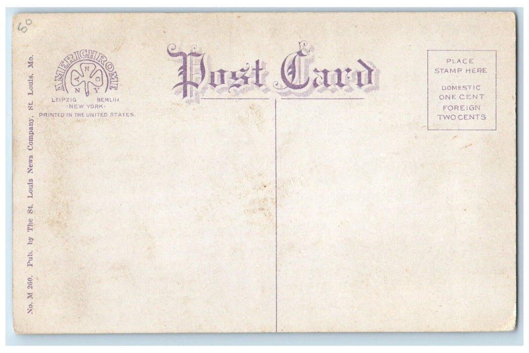c1910 St. Patrick's Church School Exterior Chapel Street Alton Illinois Postcard