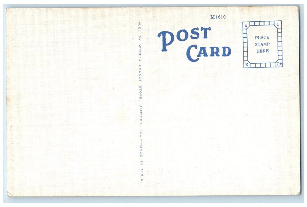 c1940 St. Peter's Catholic Church Chapel Exterior Antioch Illinois IL Postcard