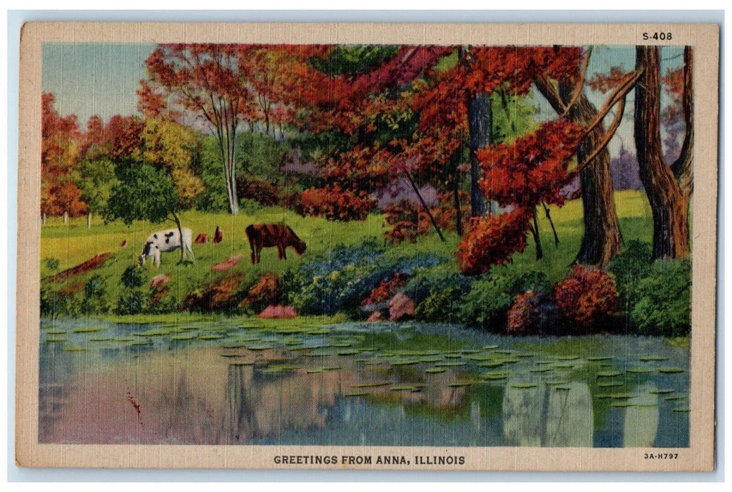 1948 Greetings From Anna Illinois IL Cow Trees Lilly Pad Posted Vintage Postcard