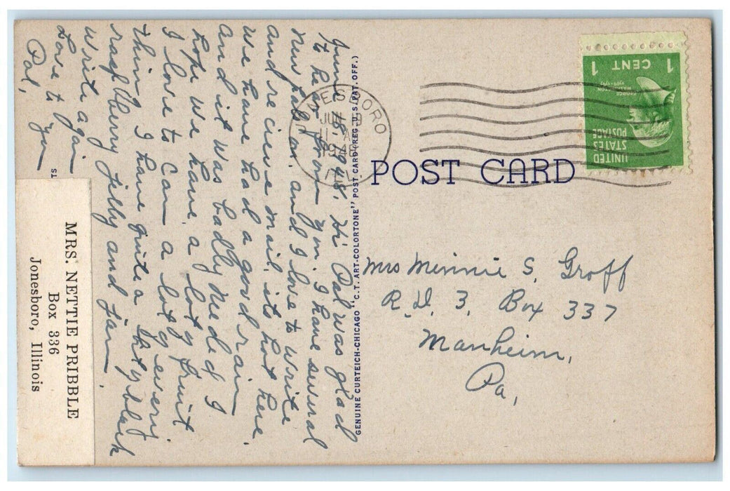 1948 Greetings From Anna Illinois IL Cow Trees Lilly Pad Posted Vintage Postcard