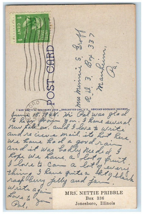 1948 Greetings From Anna Illinois IL Cow Trees Lilly Pad Posted Vintage Postcard