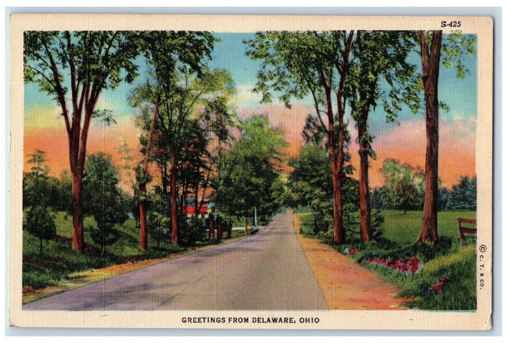 Greetings From Delaware Ohio OH, Road Tree-lined View Vintage Unposted Postcard