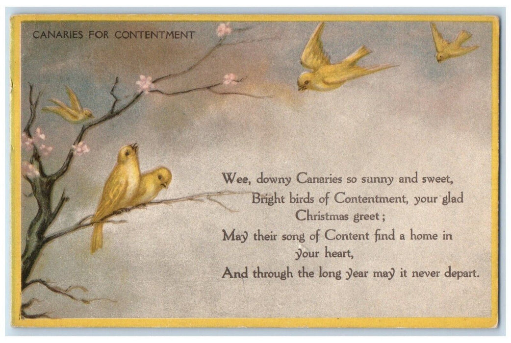 1919 Christmas Song Birds Canaries For Contentment Washington DC Posted Postcard