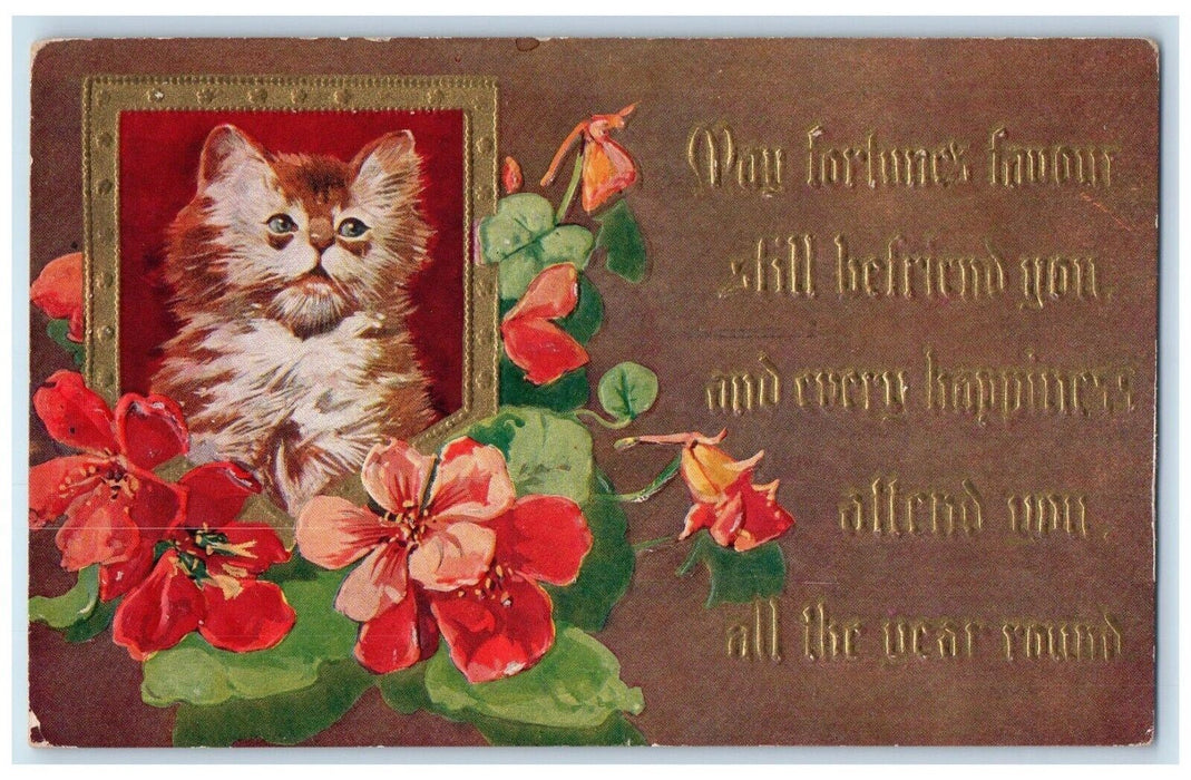 1910 Christmas Cat Kitten Red Flowers Winsch Back Embossed Antique Postcard