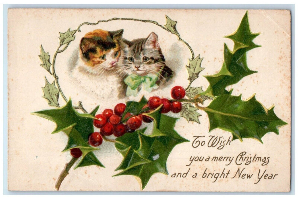 c1910's Christmas And New Year Cute Kitten Holly Berries Embossed Postcard