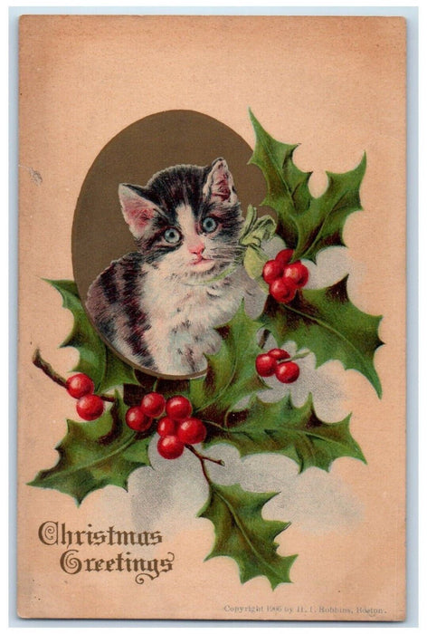 c1910's Christmas Greetings Cat Kitten Holly Berries Posted Antique Postcard