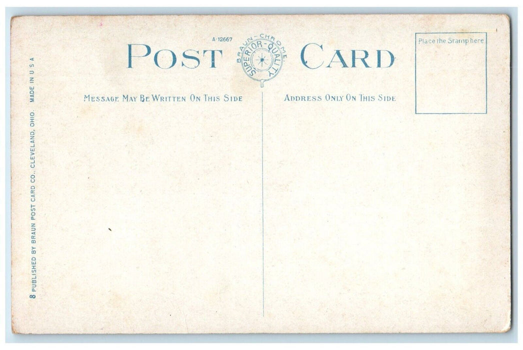 View Of Scenic Railway And Public Ground Euclid Beach Cleveland OH Postcard