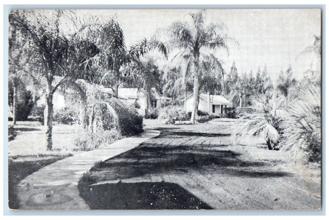 c1910's The Florida Spa Friendly Resort Dirt Rock Orlando FL Antique Postcard