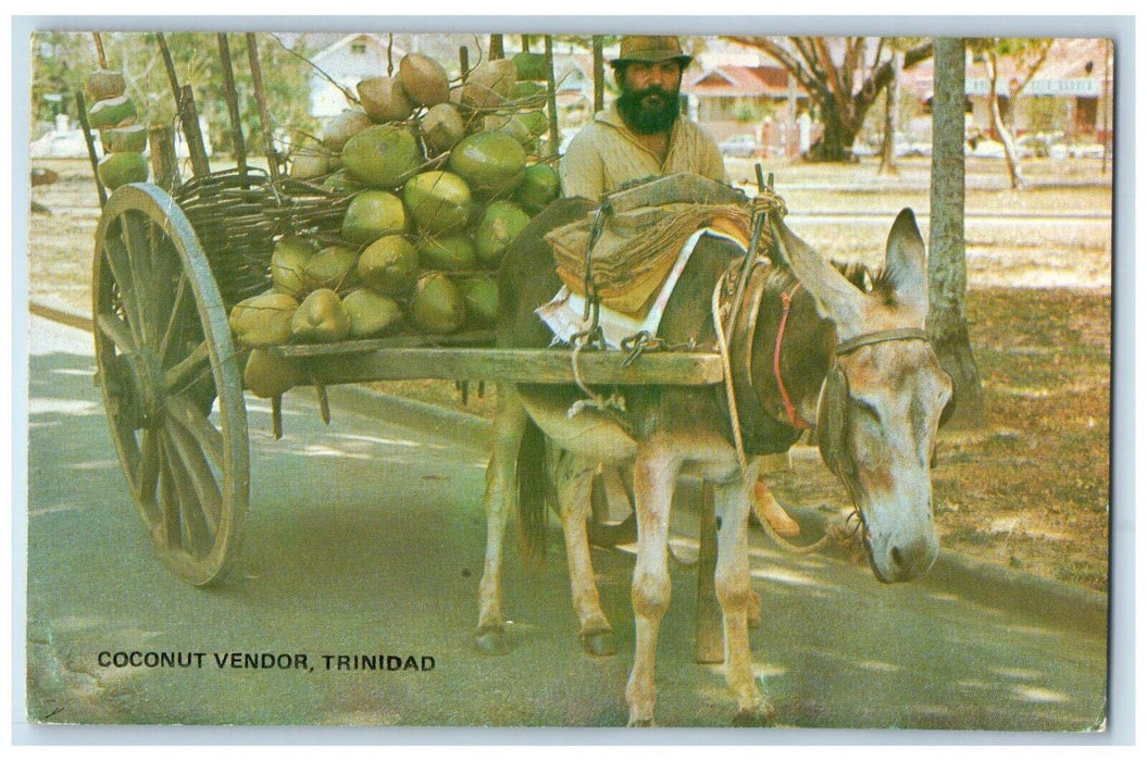 Scene Street Coconut Vendor Trinidad Port Of Spain Posted Vintage Postcard