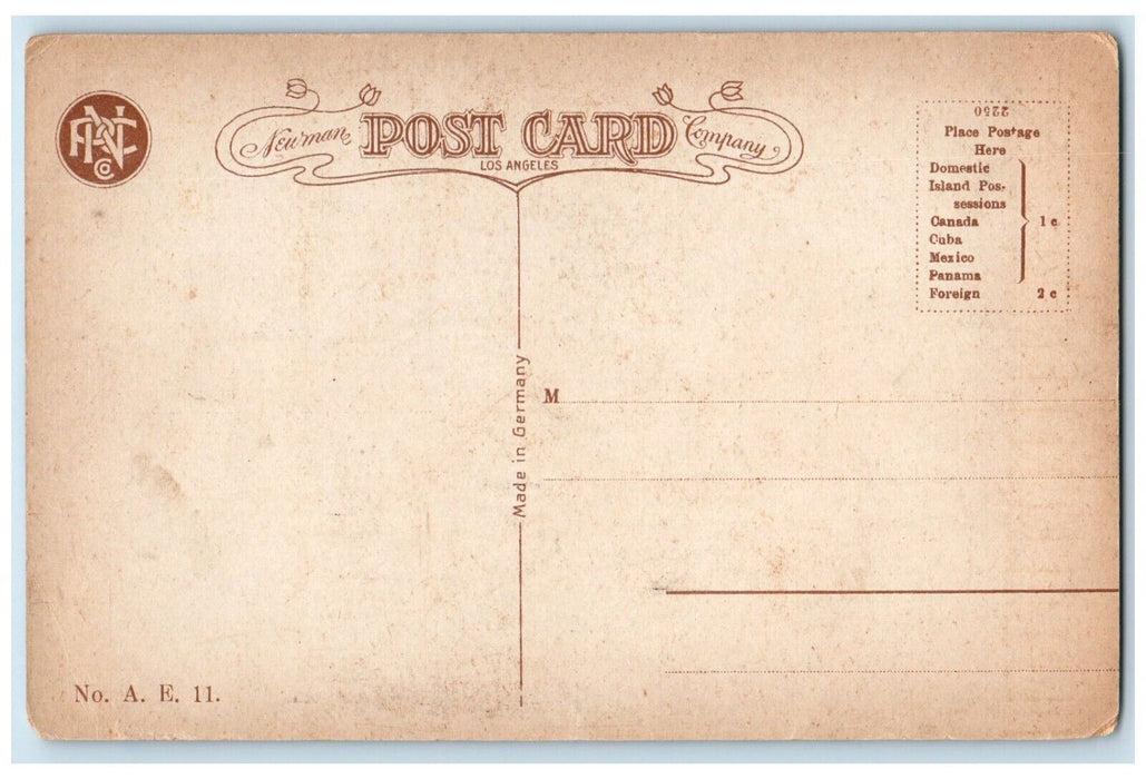 View Of Black Butt On S. P.  R. R. California Bend Oregon OR Route Boat Postcard