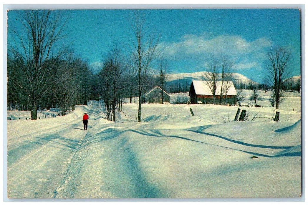Greetings From West Laurens New York NY, Scene Winter Snow Little Town Postcard