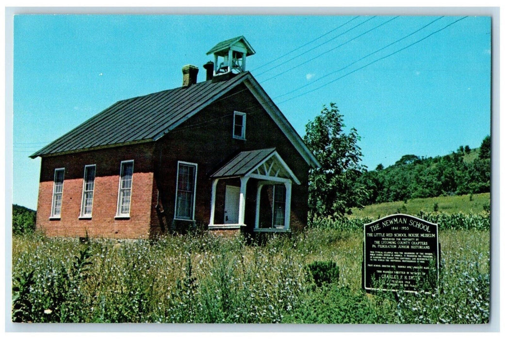 Newman School Houses Lycoming County Between Pennsdale Hughesville PA Postcard