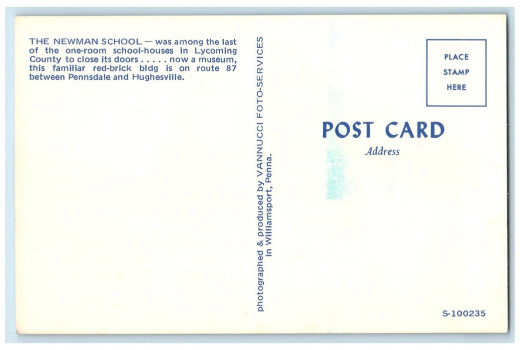 Newman School Houses Lycoming County Between Pennsdale Hughesville PA Postcard