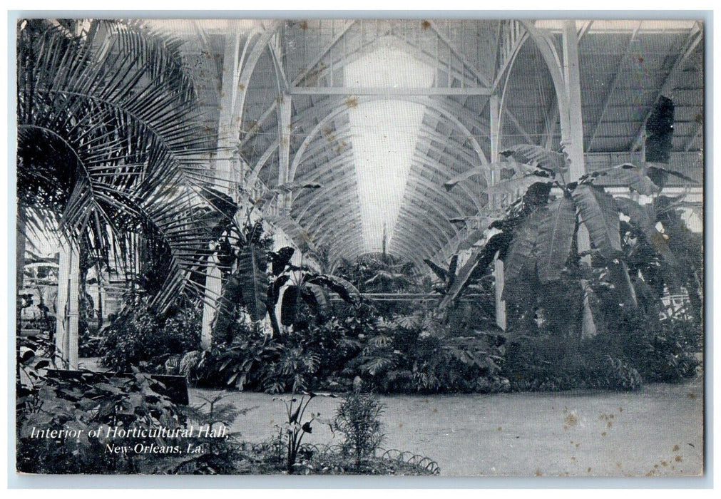 c1910's Interior Of Horticultural Hall New Orleans Louisiana LA Posted Postcard