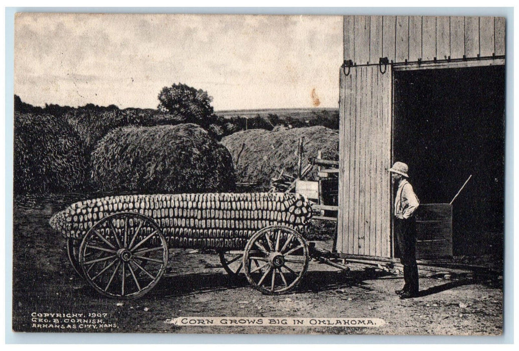 1909 Exaggerated Corn Grows Big in Oklahoma OK Antique Posted Postcard