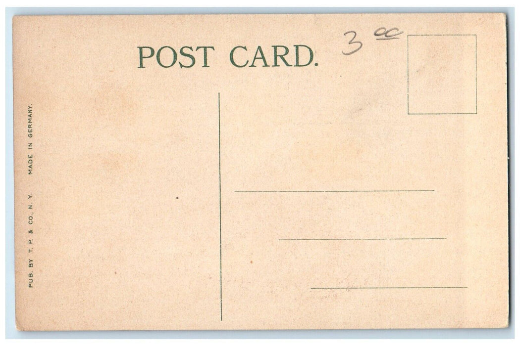 c1910's Medical Department Of Tulane University New Orleans LA Antique Postcard