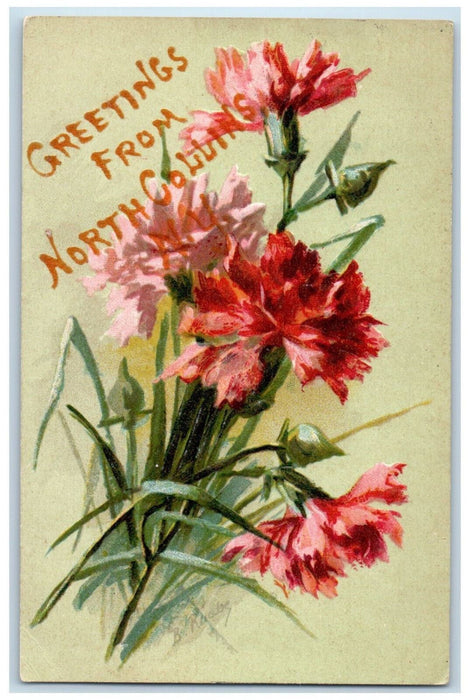 1908 Greetings from North Collins New York NY Red Flowers Antique Postcard