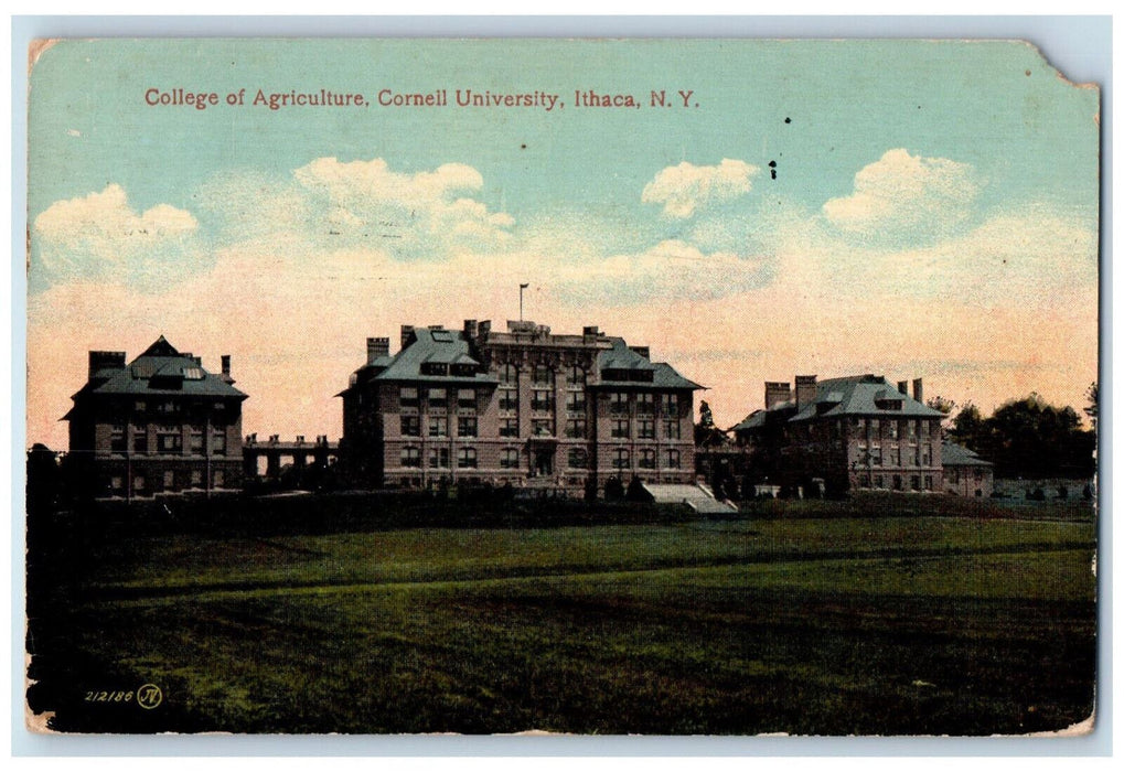 1915 College of Agriculture Cornell University Ithaca New York NY Postcard