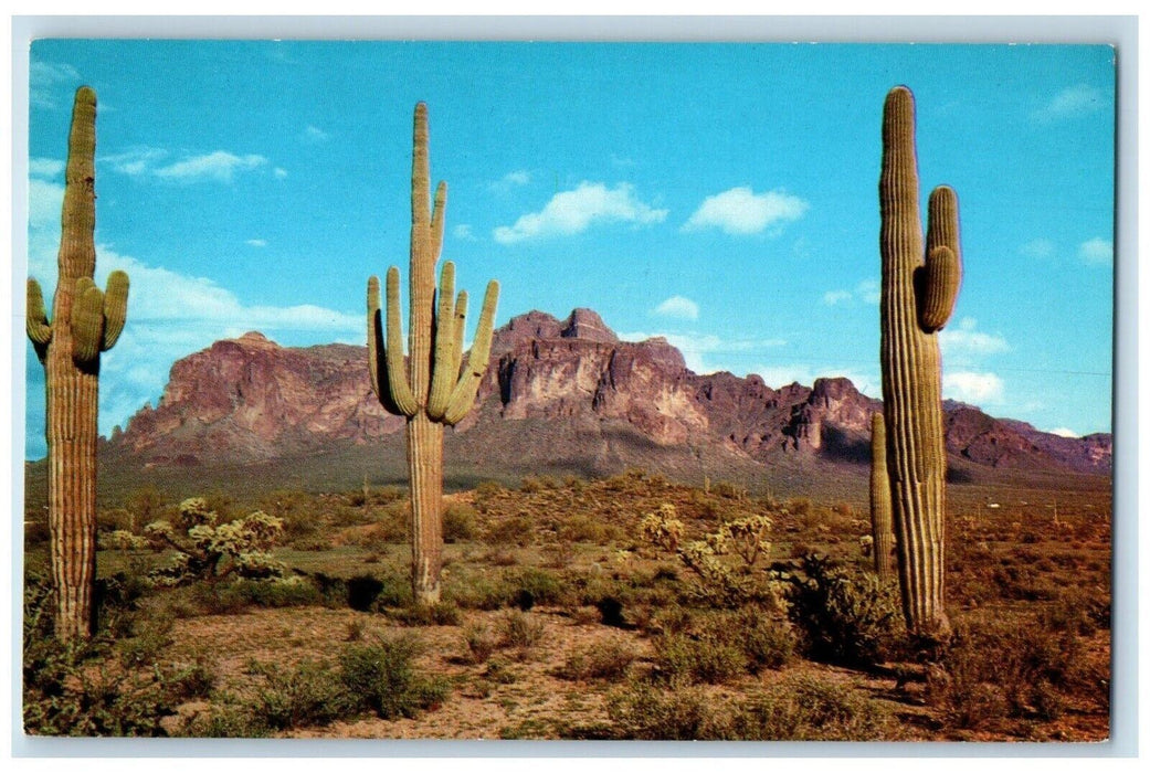 c1960's Superstition Mountains Cactus Mesa Arizona AZ Unposted Vintage Postcard