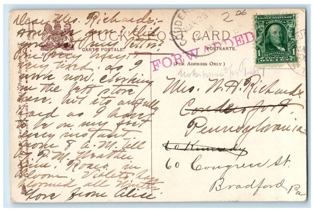 c1910's Cotton Market Shipyard New Orleans LA From Southern Soil Tuck's Postcard