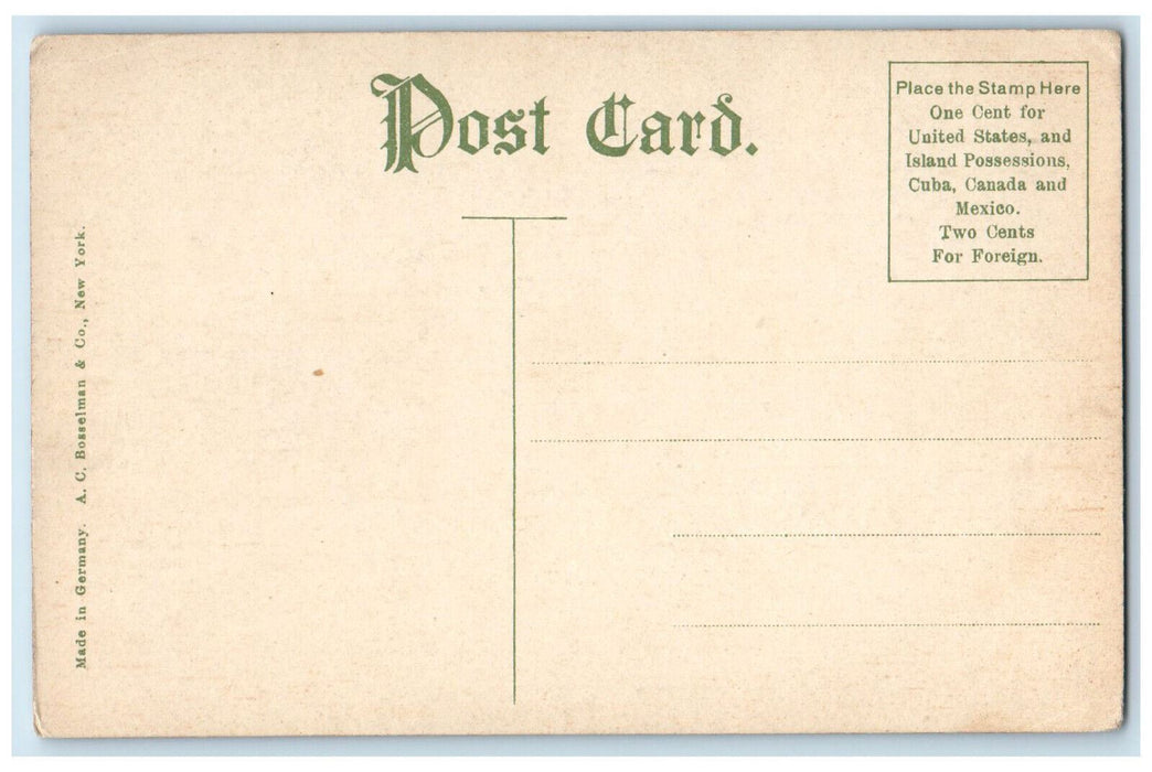 1907 Auditorium Fountain Statue Flag Jamestown Exposition Norfolk VA Postcard