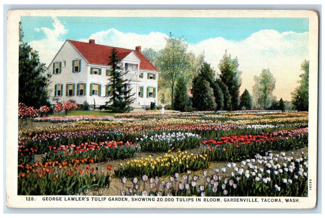 c1920's George Lawler's Tulip Garden Gardenville Tacoma Washington WA Postcard