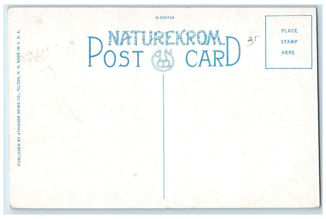 c1930's The High School Berlin New Hampshire NH Unposted Naturekrom Postcard