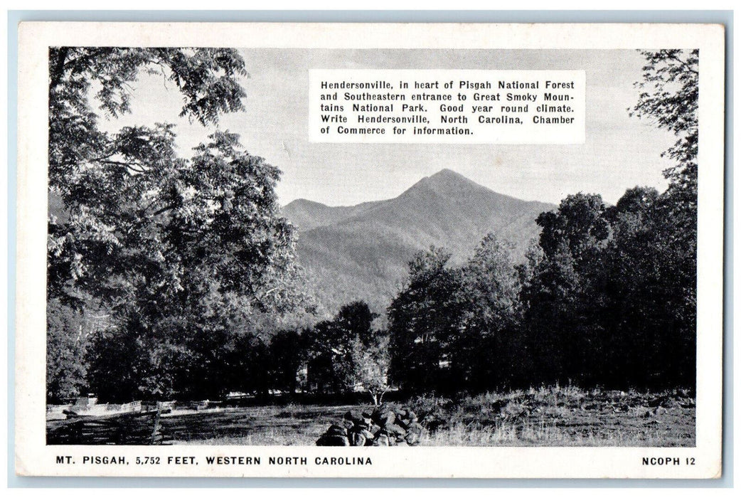 c1940's Hendersonville Mt. Pisgah Western North Carolina NC Postcard