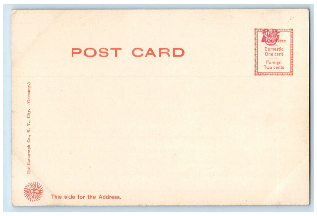 c1905 Library Agricultural College Lansing Michigan MI Antique Postcard