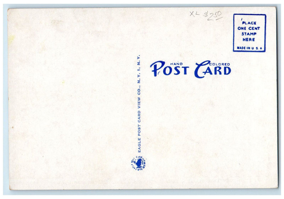 c1910 By Lake Placida Elizabethtown College Pennsylvania PA Antique Postcard
