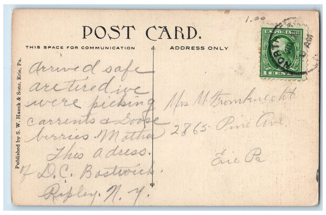 Lily Pond On Peninsula Boat Canoeing Scene Erie Pennsylvania PA Antique Postcard