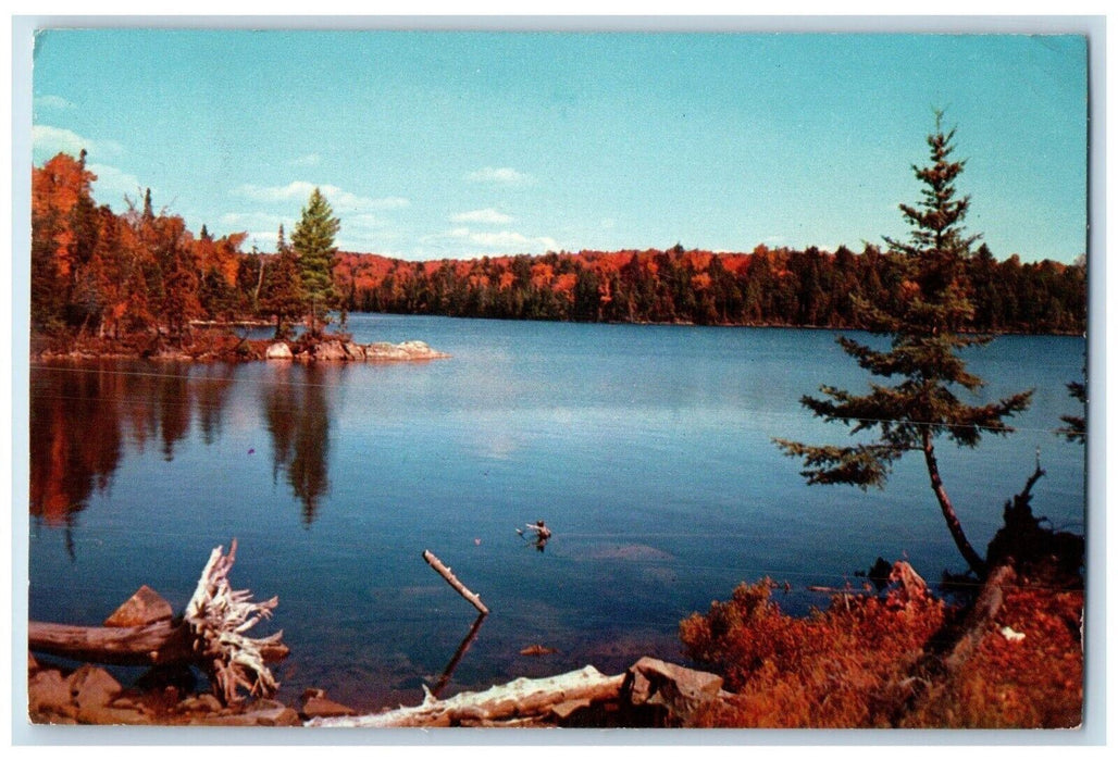 1960 Greetings From Pocono Mountains River Lake Trees Pennsylvania PA Postcard