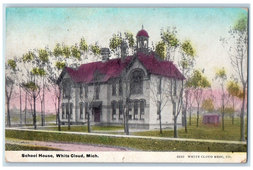 1909 School House Trees Road Scene White Cloud Michigan MI Antique Postcard