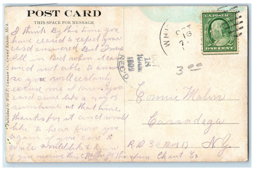 1909 School House Trees Road Scene White Cloud Michigan MI Antique Postcard