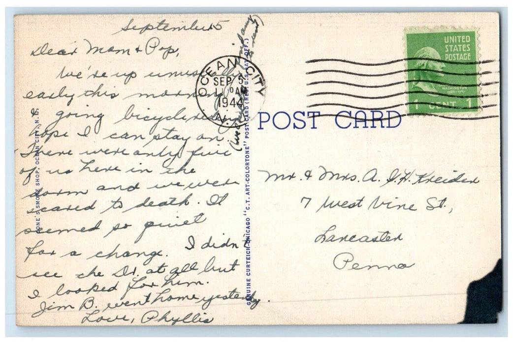 1944 Night Water Sports Flanders Pool Lights Ocean City New Jersey NJ Postcard