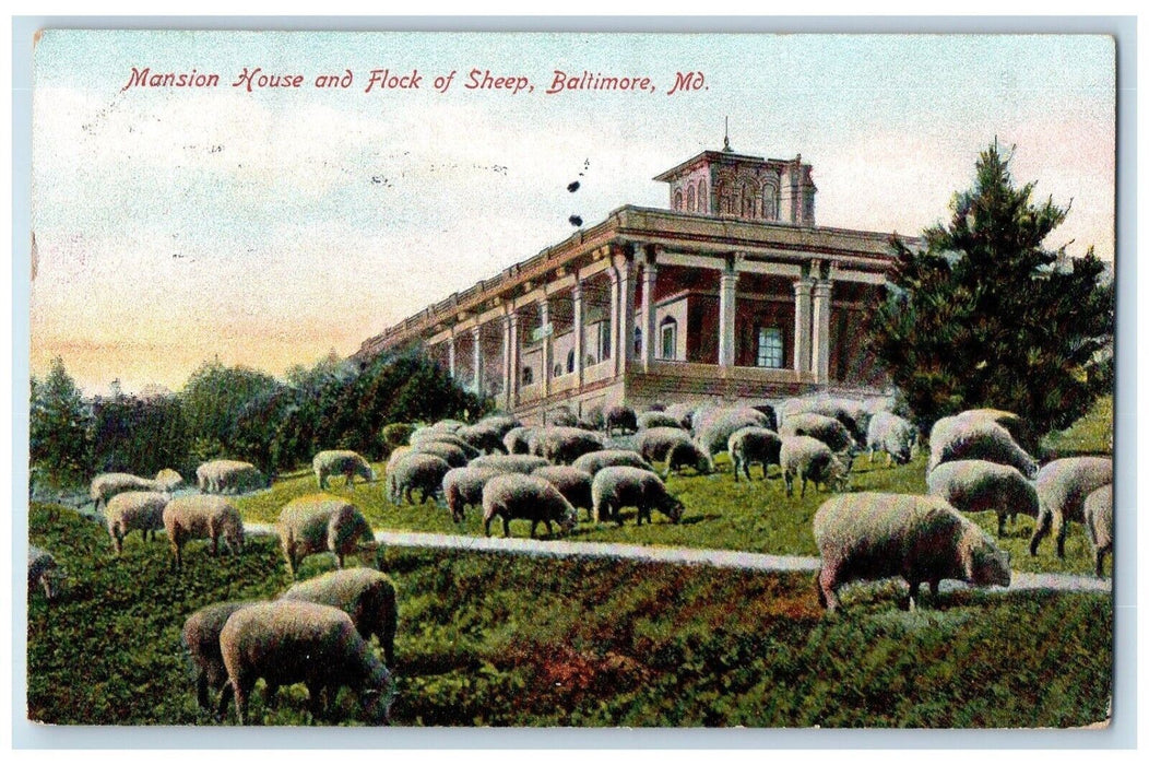 1912 Mansion House Flock Sheep Exterior Grass Field Baltimore Maryland Postcard
