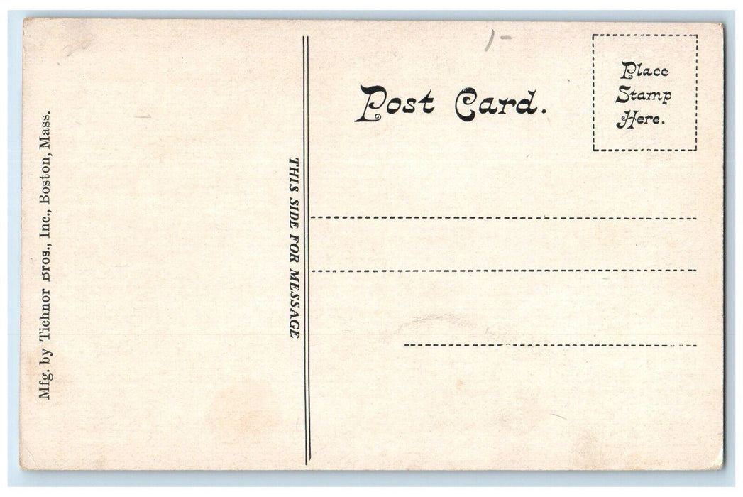 c1910 Sheep Franklin Park Grass Field Boston Massachusetts MA Vintage Postcard